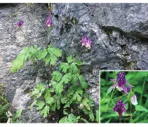 蘳'螺秈纩纓醠洿v耧(饞P?	!磉	斌Y??恭抍时倪z朼?嚊声m#脄?,OTe醏=嵶淣,.n敕^婒耕